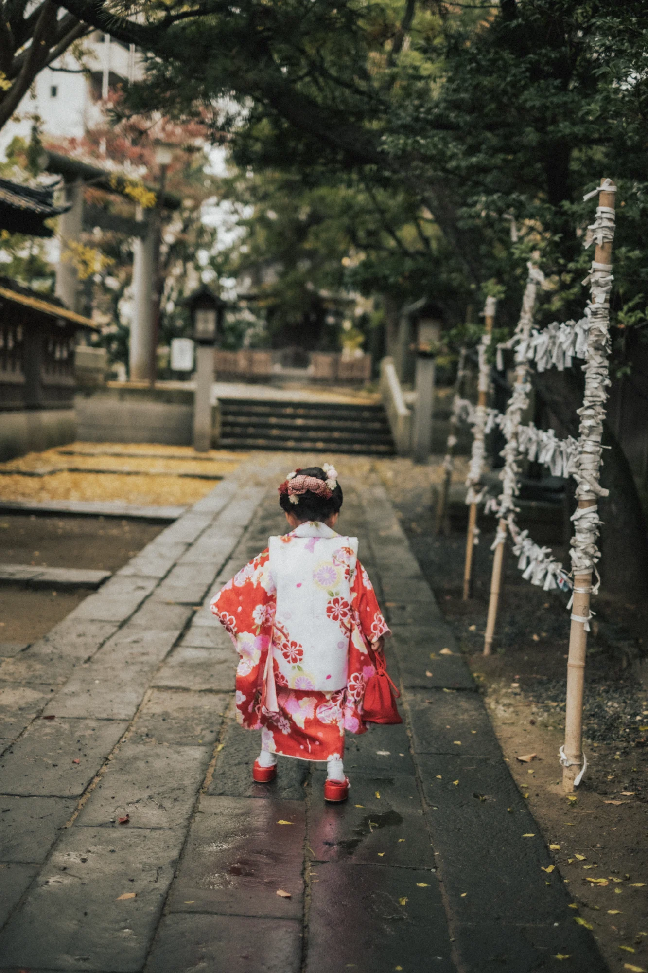 神社・お寺 / 七五三