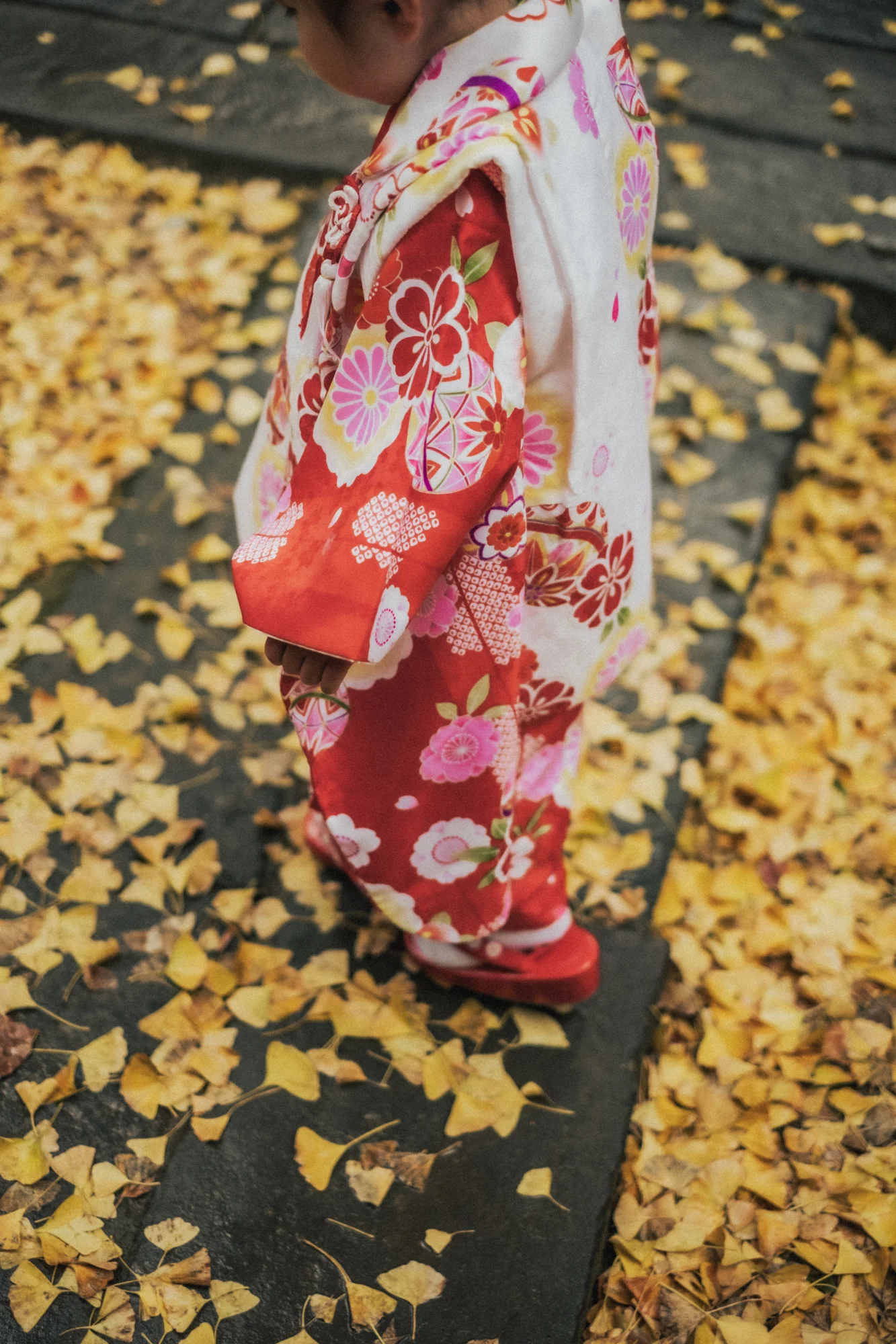 神社・お寺 / 七五三