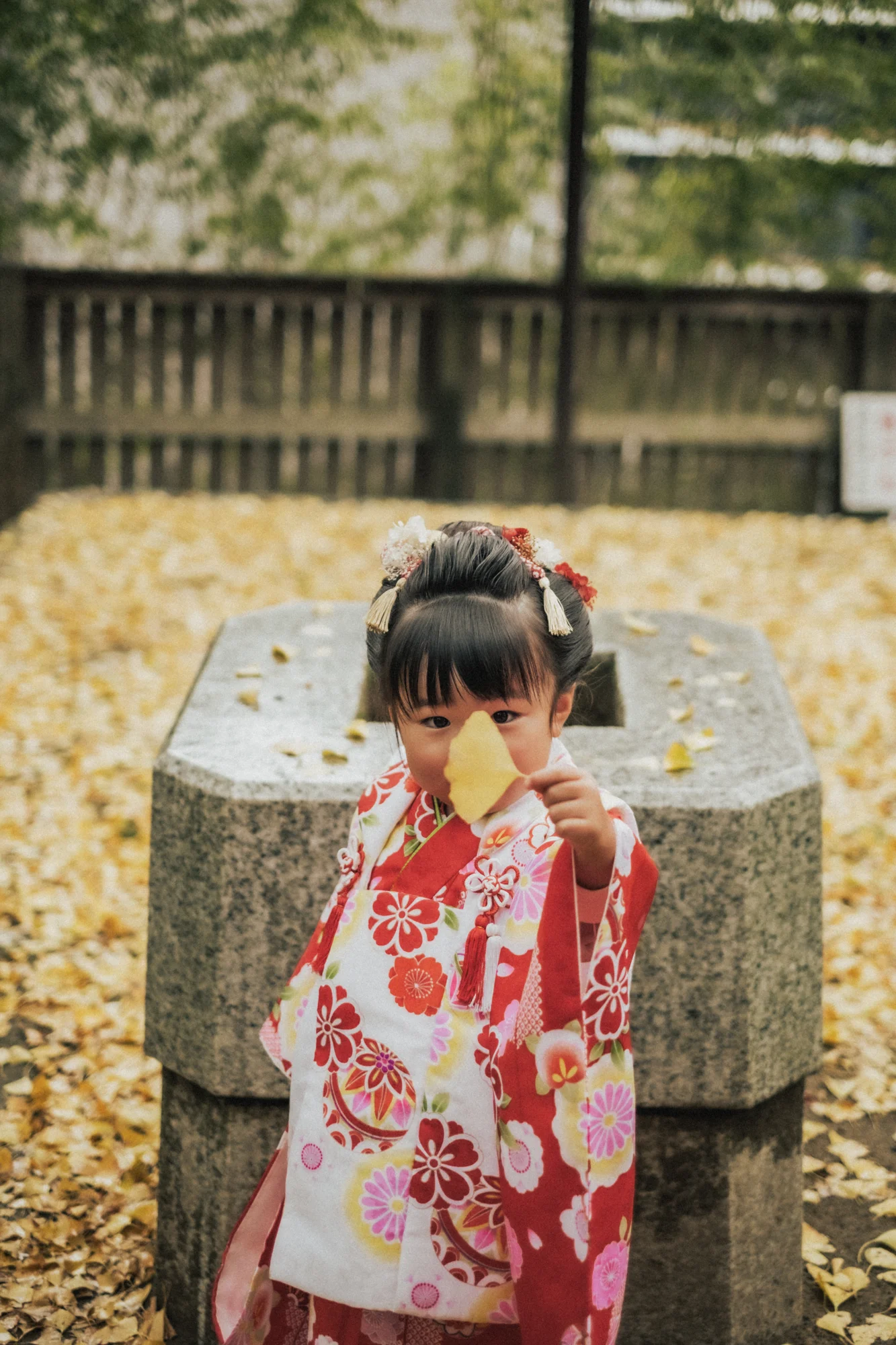 木の葉と遊ぶ七五三の子ども
