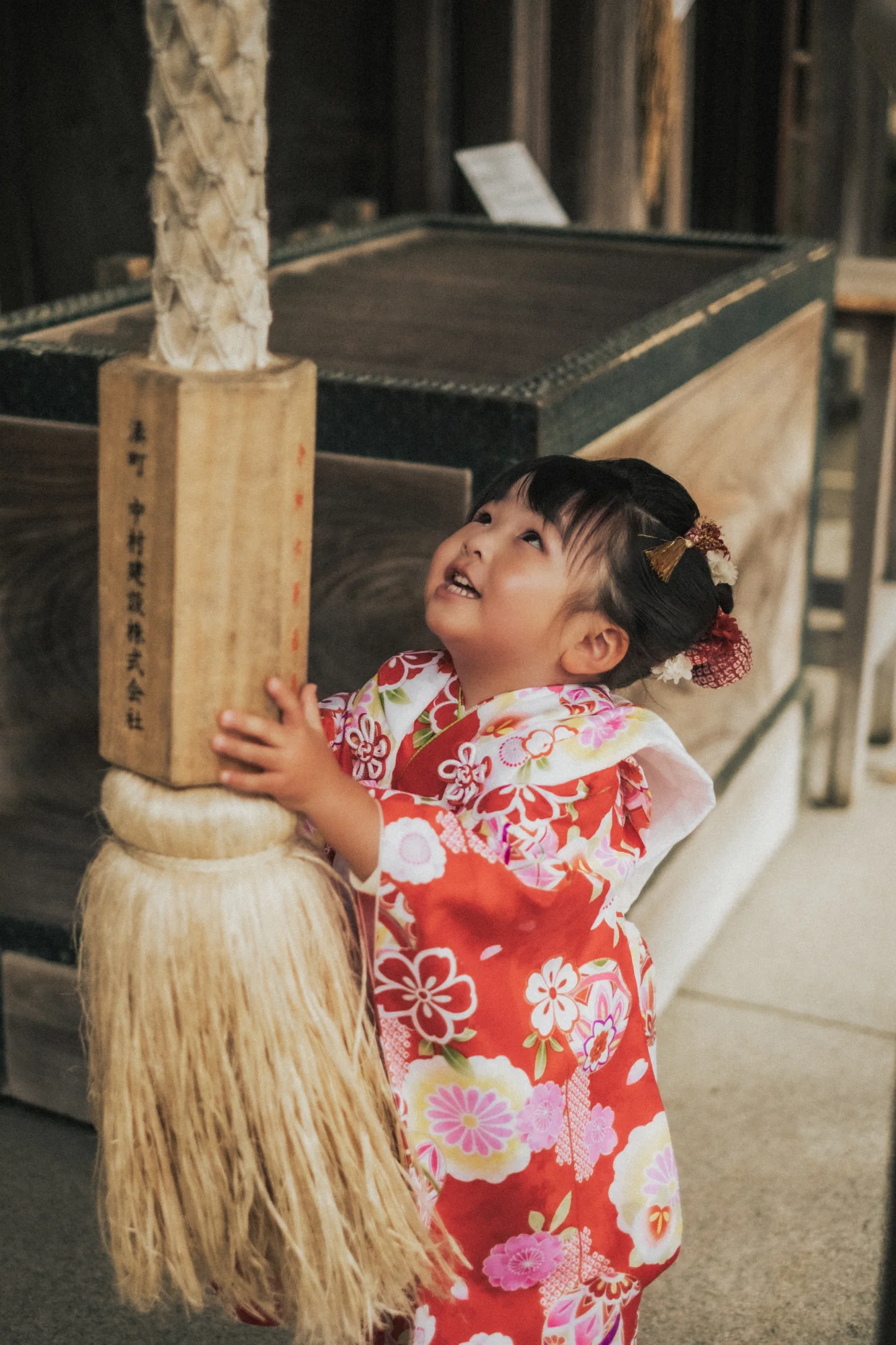 神社・お寺 / 七五三
